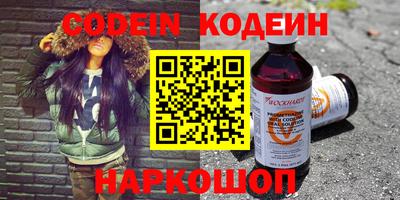 молекула духа Кингисепп
