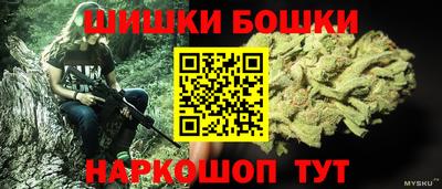 молекула духа Кингисепп