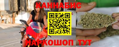 молекула духа Кингисепп