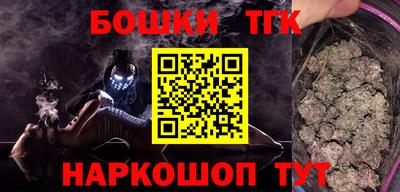 молекула духа Кингисепп