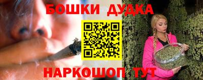 молекула духа Кингисепп